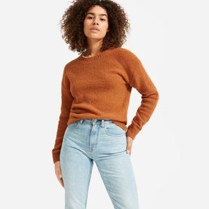 Everlane Wool Blend Teddy Crew Neck Sweater Size Medium
